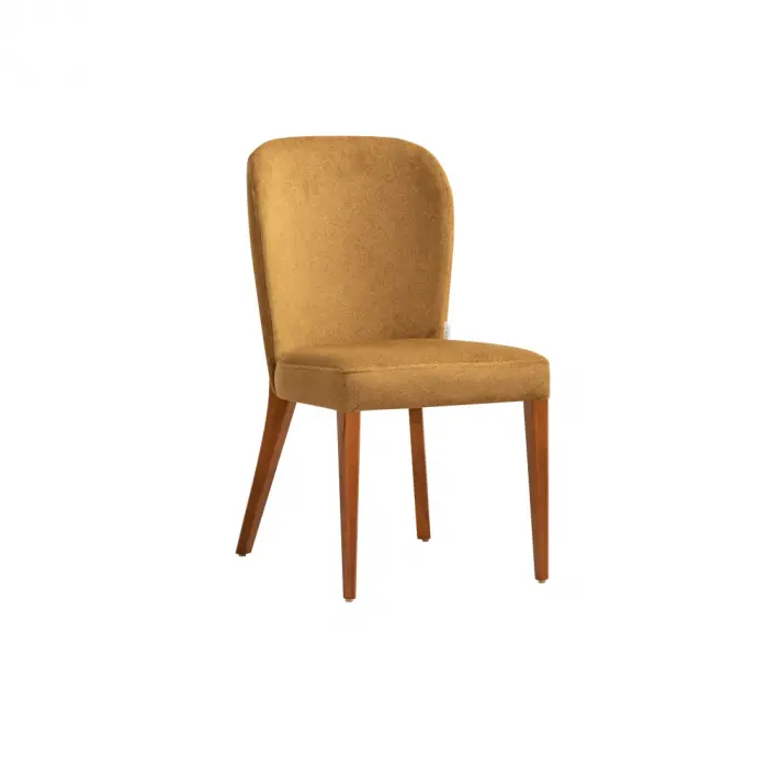 Roman Chair