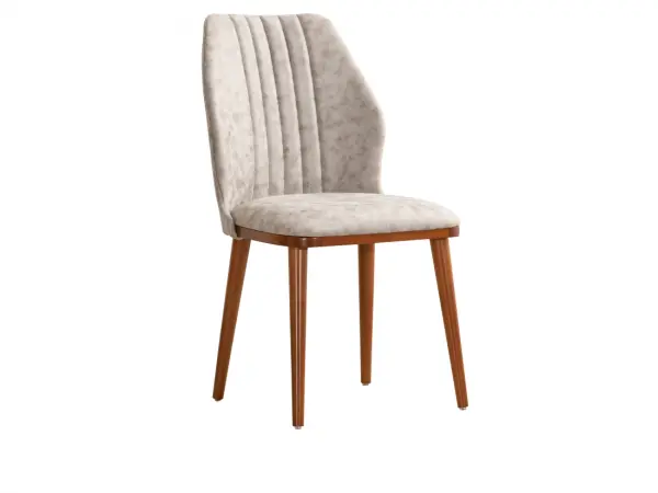 Class Chair