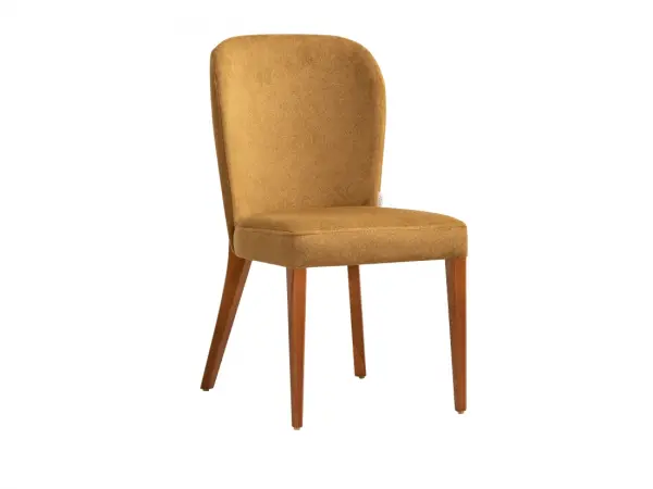 Roman Chair