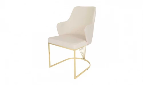 Gucci Chair